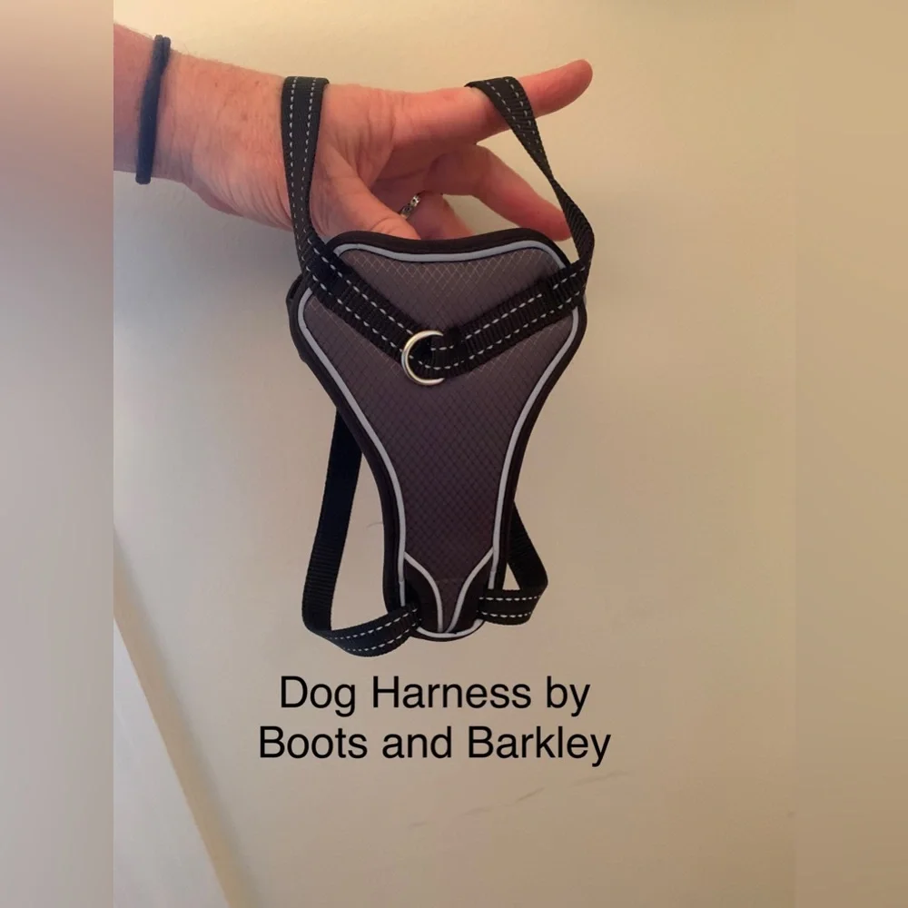 Adjustable Pet Harness by Boots and Barkley in Size Small
